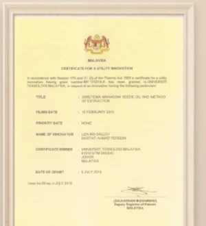 Sijil Patent Utility Innovation GoSwiet