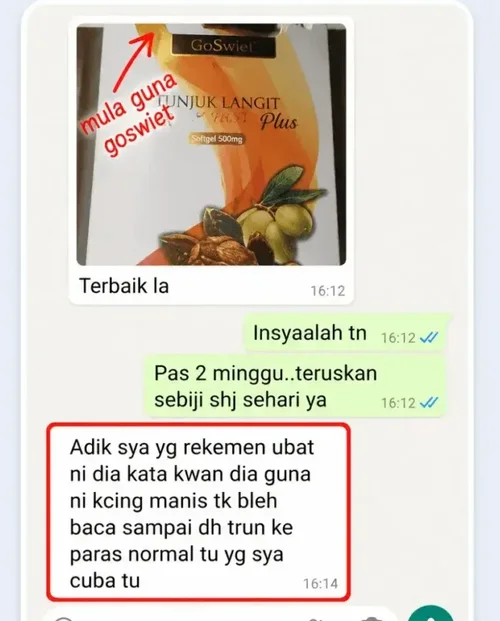 Tangkapan skrin WhatsApp testimoni rekomen daripada adik